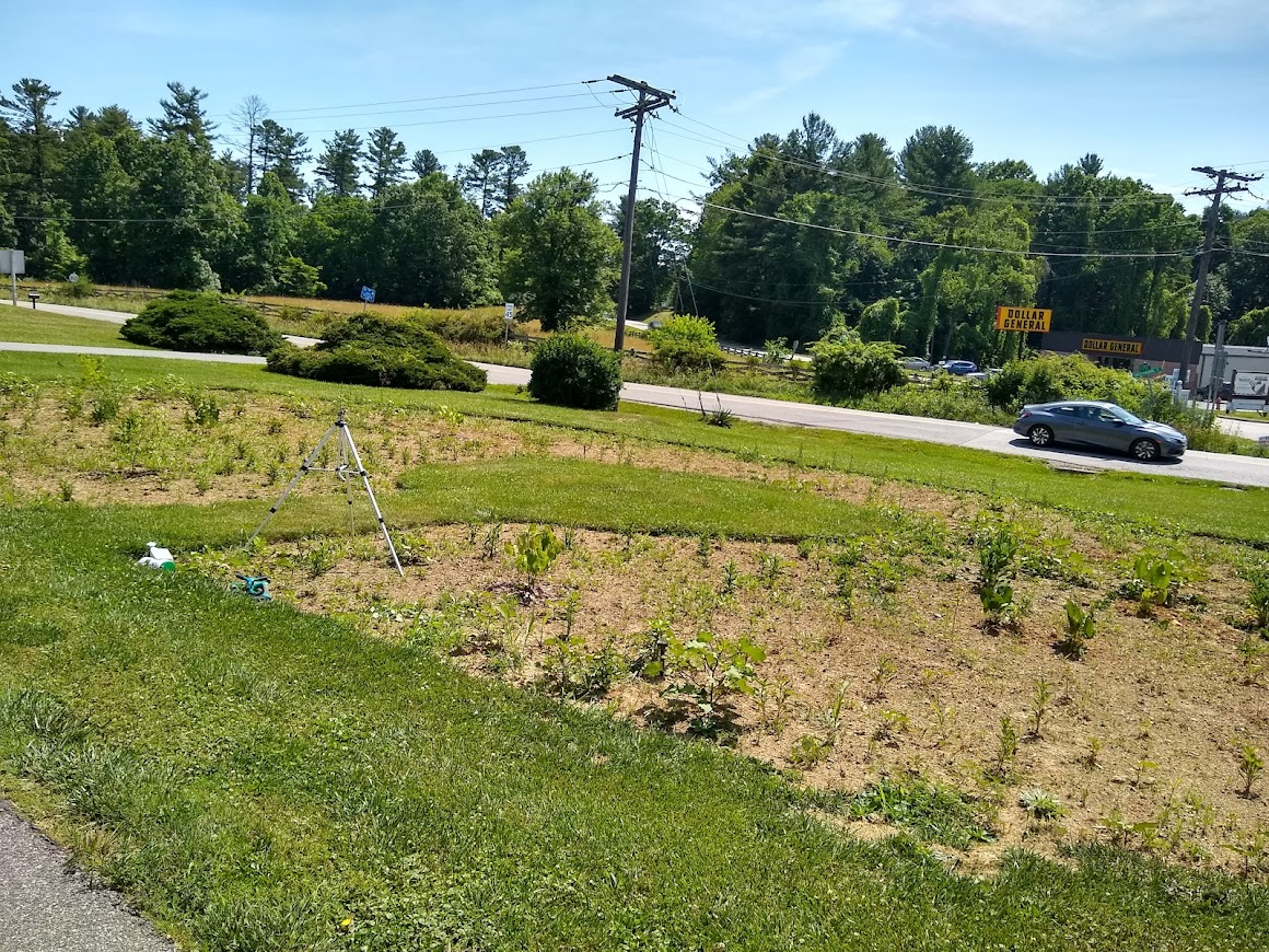 Wall Residences Floyd Flower Power